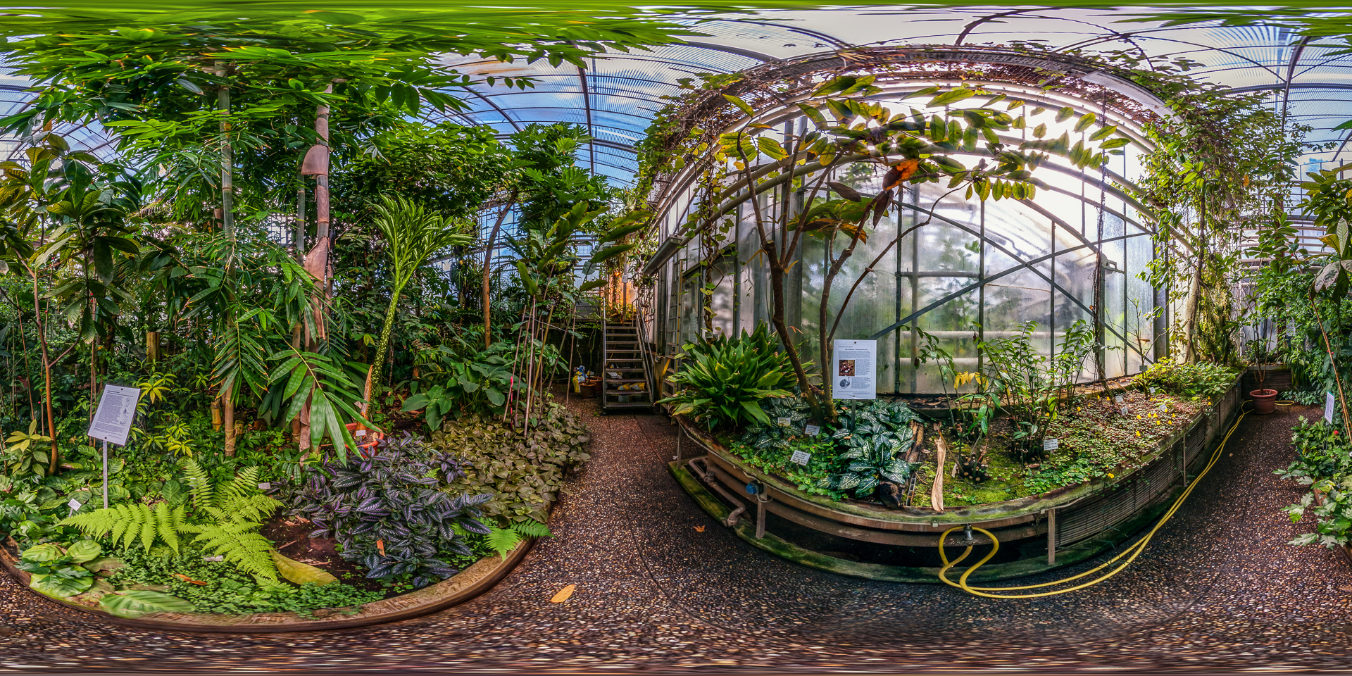 Botanischer-Garten-Darmstadt-Tropenhaus