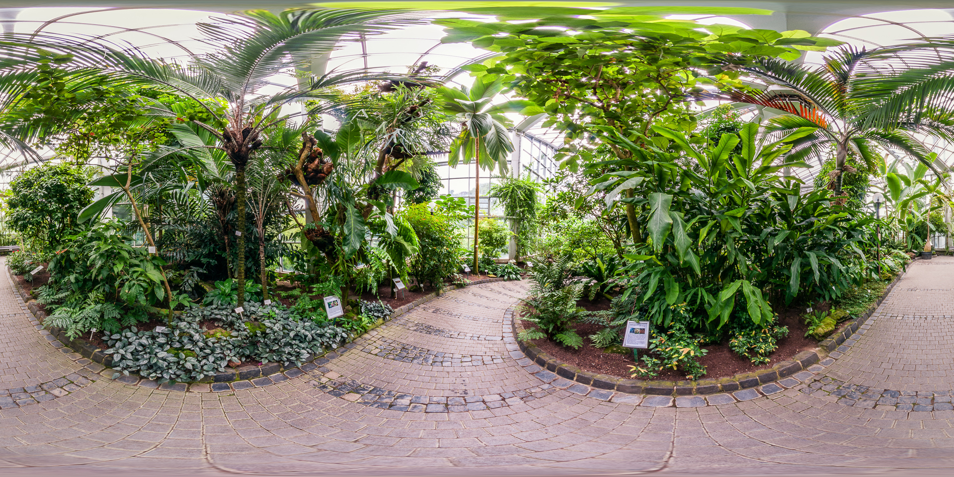 Palmengarten-Tropicarium-Monsunwald